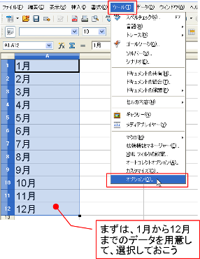 ツール→オプション